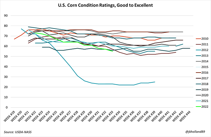 Surprise corn ratings drop hints at lower yields