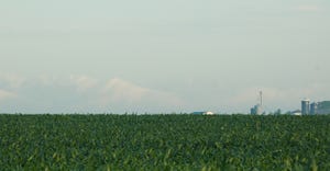 Corn field with silos in background