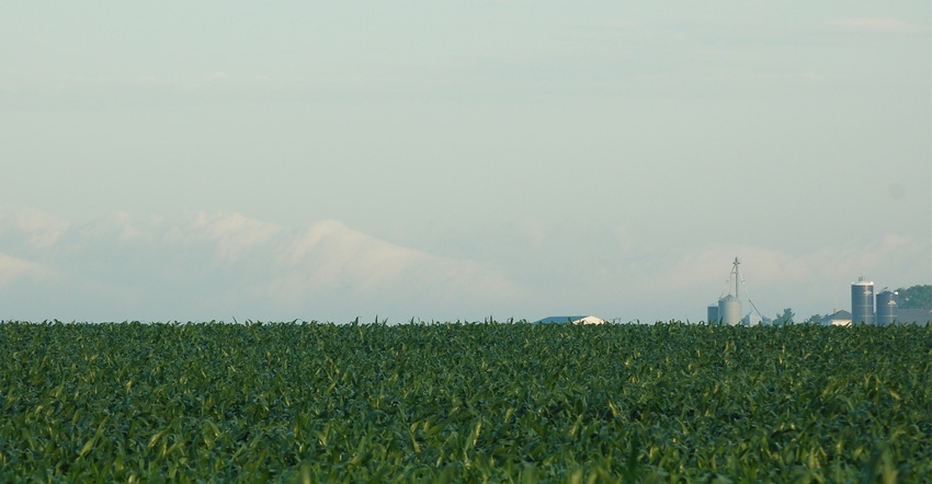 Corn field with silos in background Corn field with silos in background