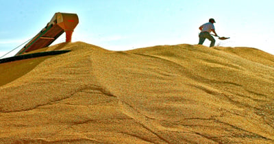 Alternative grain storage: Pros and cons