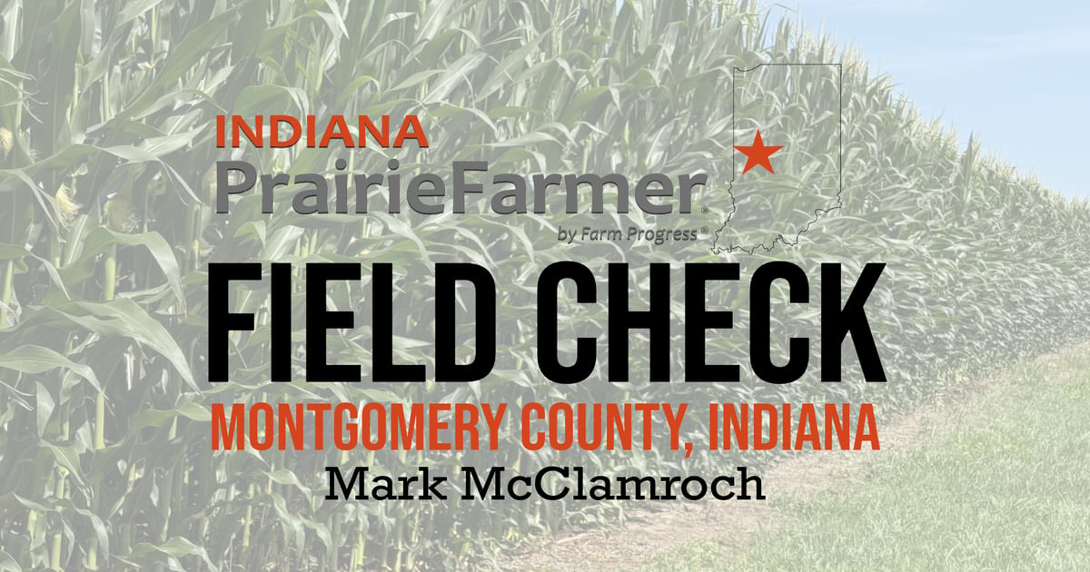 Corn and soybeans look good, but tar spot is looming in western Indiana