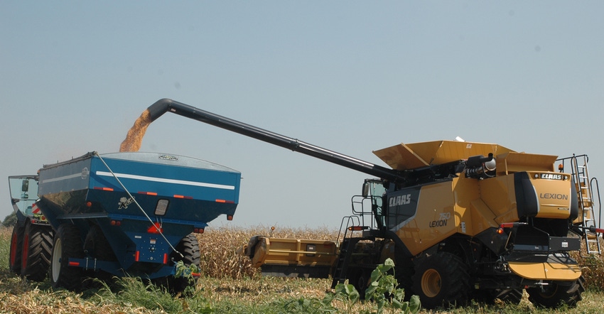 Harvesting equipment in cornfield