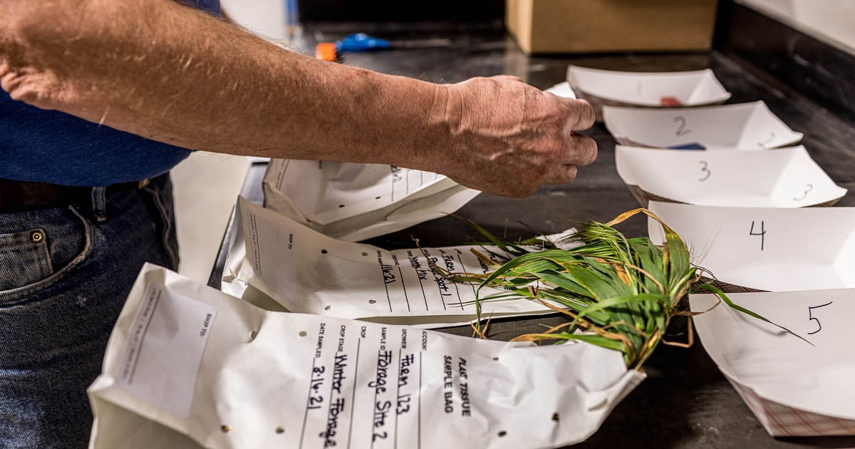 4 Reasons why you should be plant tissue testing