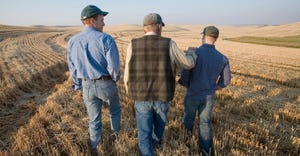 Three generations of farmers walk a wheat field