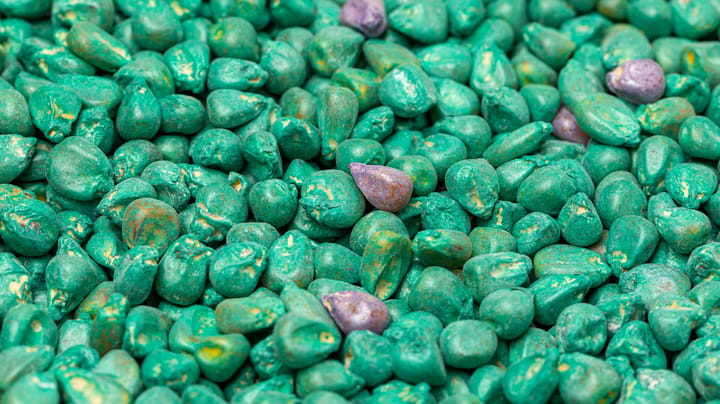 It’s time to shop for seed