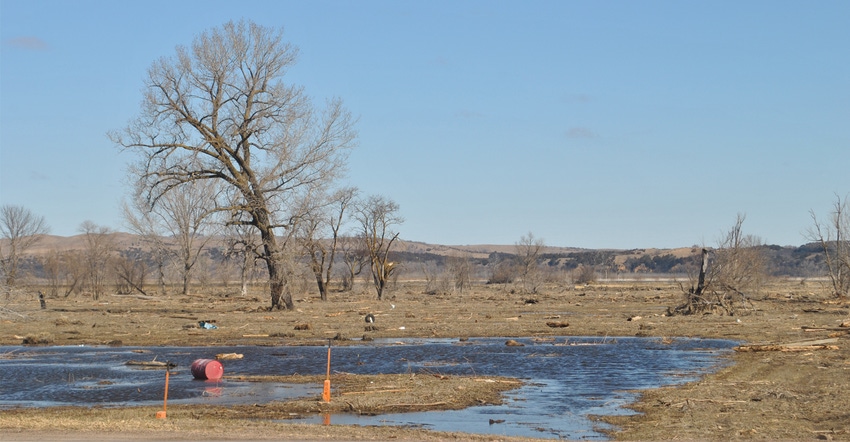 Debris along the Missouir River