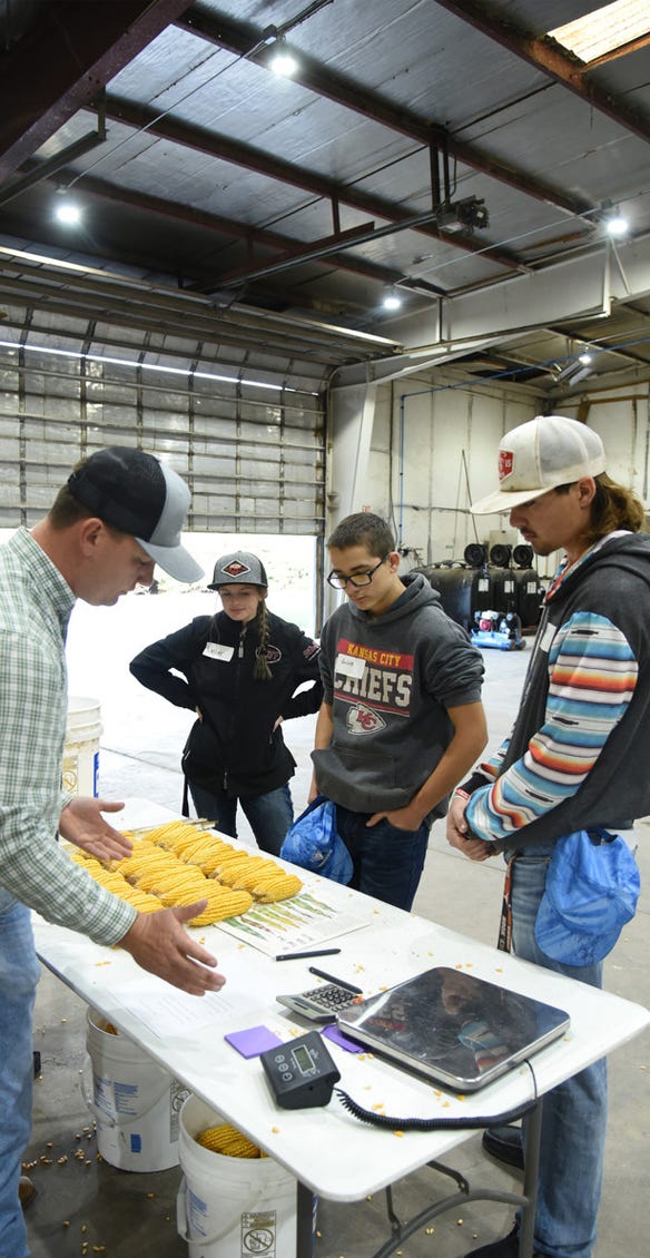 Nick Higgason shows students how to manually calculate yield by counting kernels 