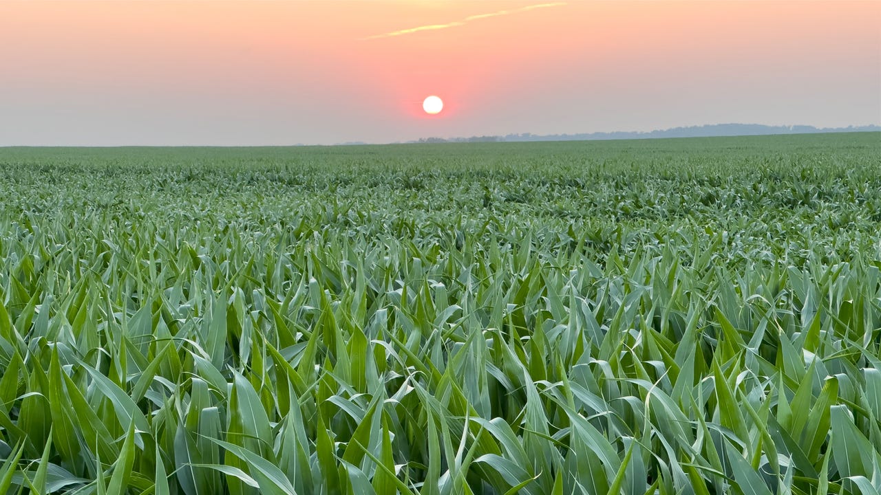 2025 Iowa farm poll reveals economic struggles, policy concerns