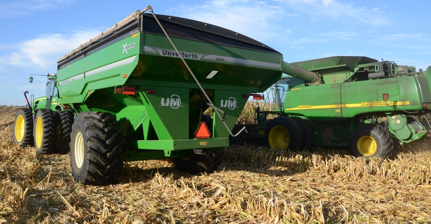 corn harvest