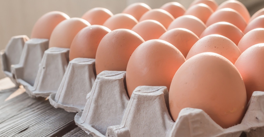 eggs-paper-tray-GettyImages-473096686.jpg eggs-paper-tray-GettyImages-473096686.jpg