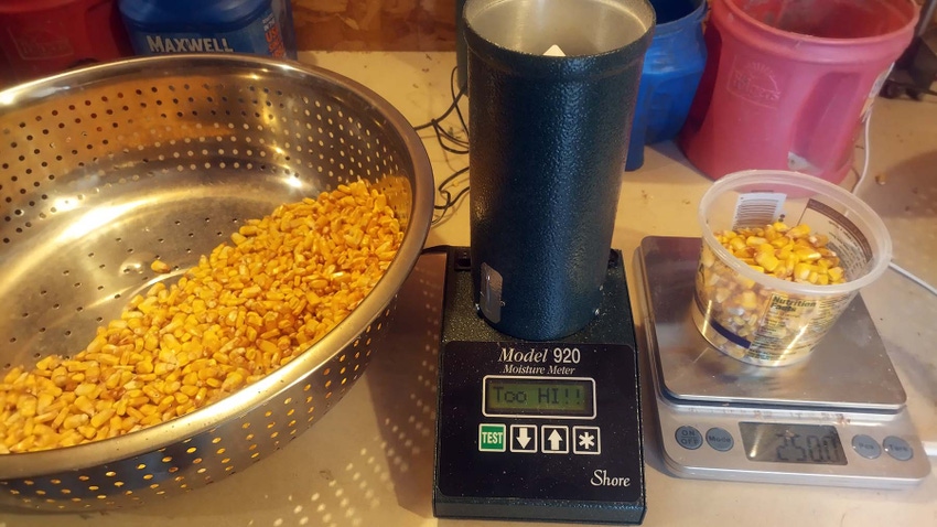 Grain moisture tester testing corn with a reading saying, "Too hi"