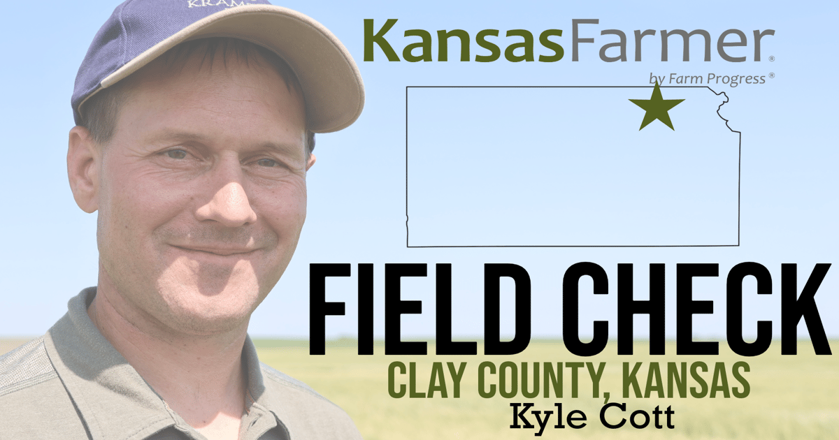 Kansas wheat enters final stages before harvest amid varied conditions