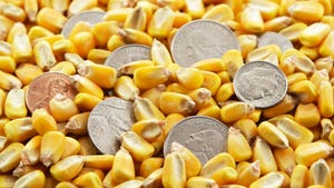 Corn kernels with coins
