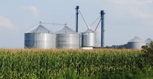 cornfield with silos in the distance