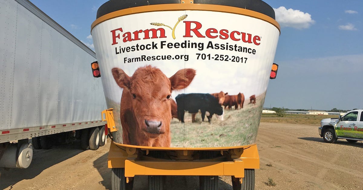 Need help feeding livestock? Apply for assistance with Farm Rescue