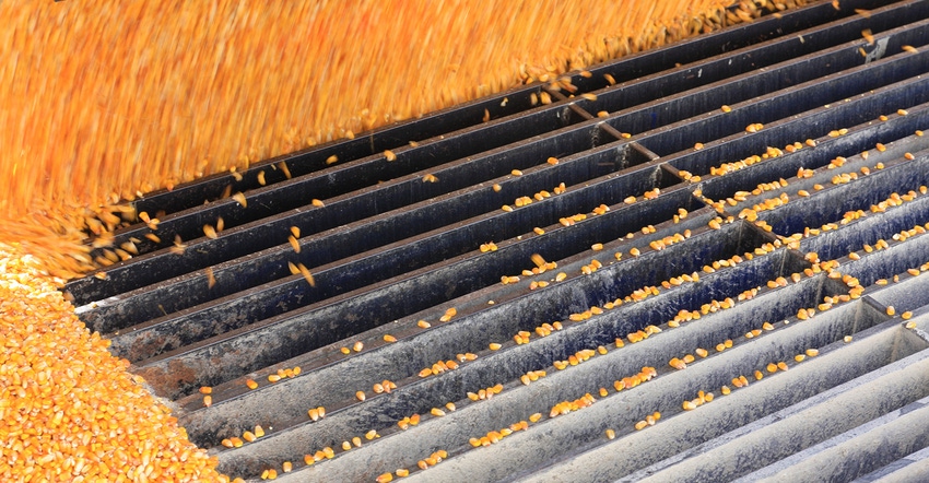 Corn unloading into a grain dump