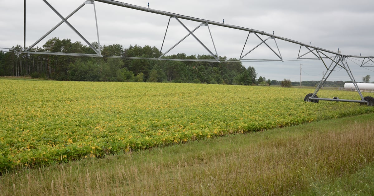 Irrigators Association of Minnesota plans field day