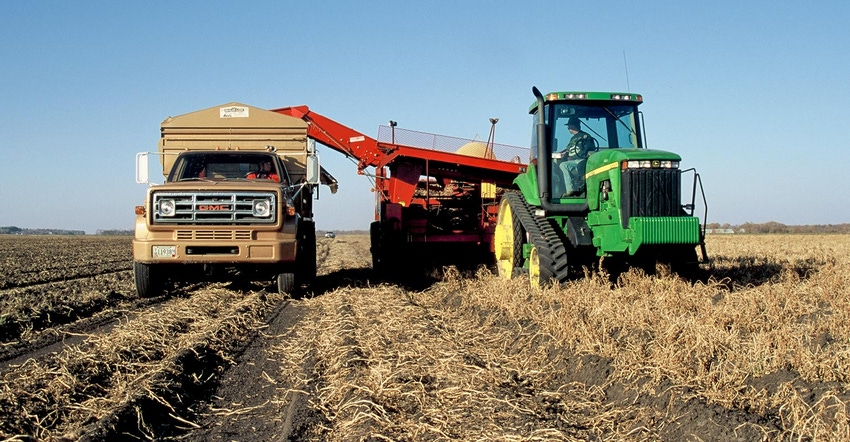 A harvester digging up a crop and dumping it into a truck