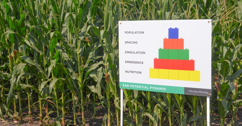 yield pyramid sign in front of cornfield