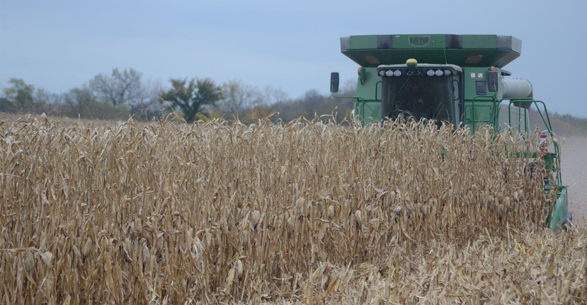 Combine in corn field during the fall season