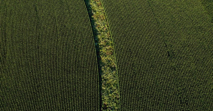 Aeriel view of prairie strips