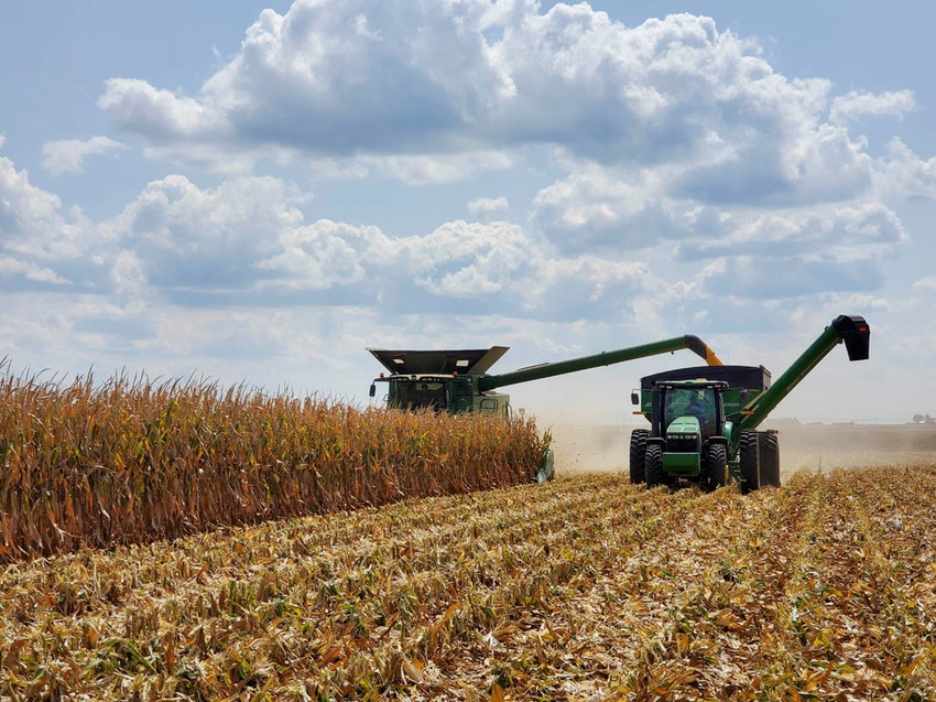 swfp-shelley-huguley-terrell-corn-harvest-20-8.jpg