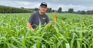 Dan Gard standing in corn field