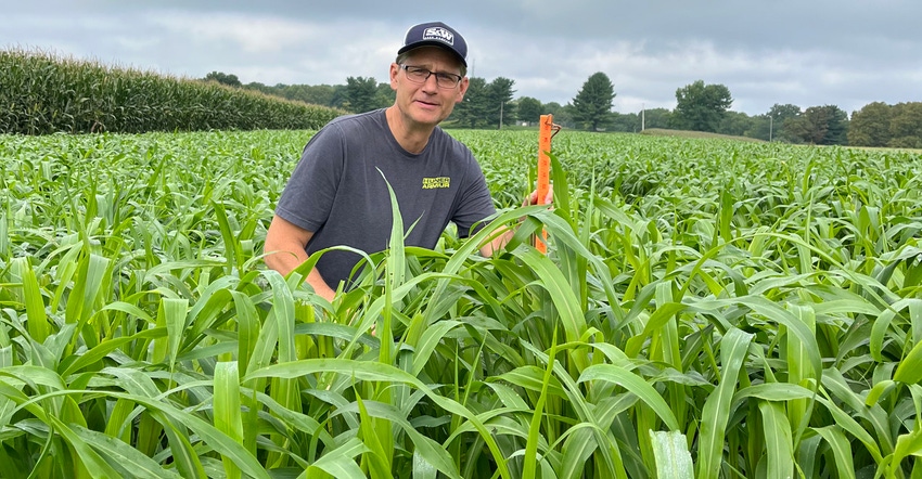Dan Gard standing in corn field Dan Gard standing in corn field