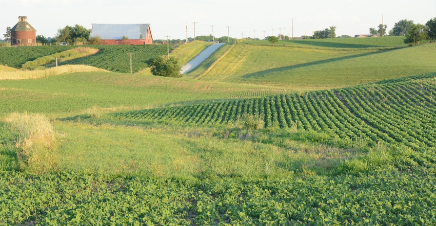 field and farmstead field and farmstead
