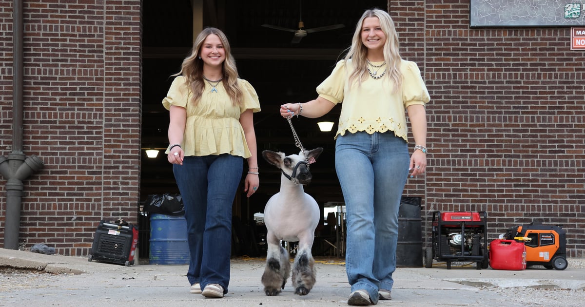 Raising quality sheep creates legacy for Wisconsin family