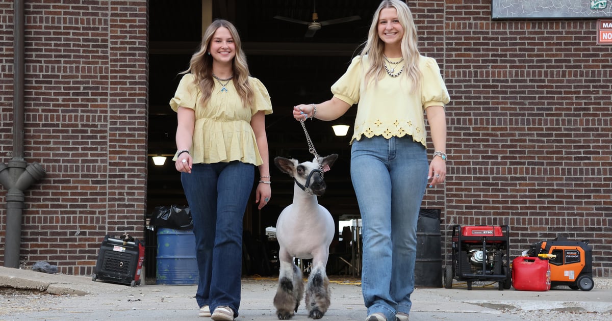 Raising quality sheep creates legacy for Wisconsin family
