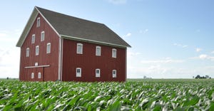 red barn in corn field