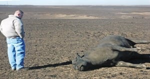 Drought drags on in Texas | Farm Progress