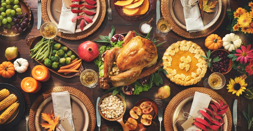 A festive, thanksgiving celebration dinner setting with a roasted turkey, cranberries, pumpkins, vegetables, pies, flowers an