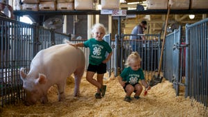Twins Wrenley and Binzley Harrison, Carthage, Ill., check out the pigs