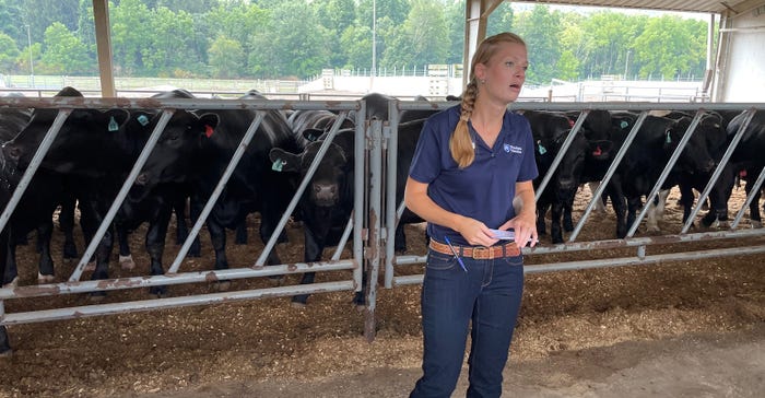 Tara Felix leads a discussion on crossbred beef dairy steers at the 2021 Ag Progress Days