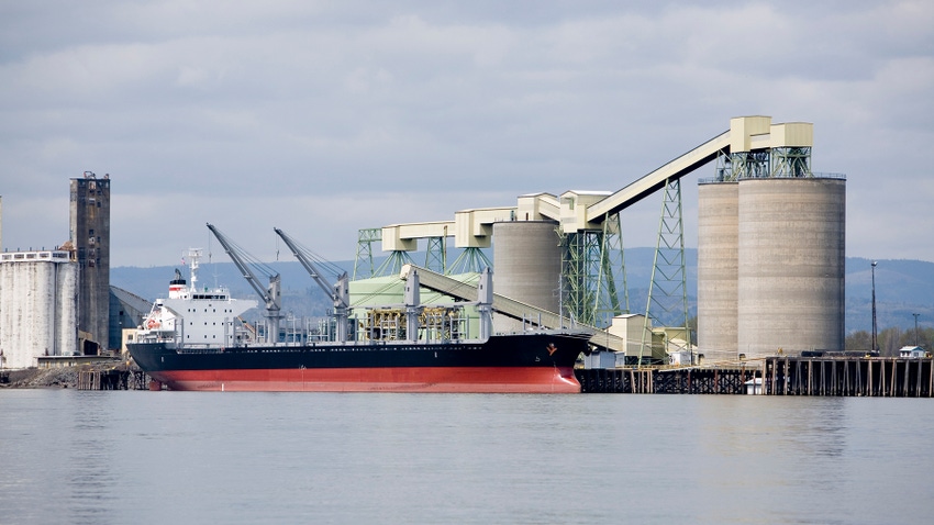 Grain terminal with export ship