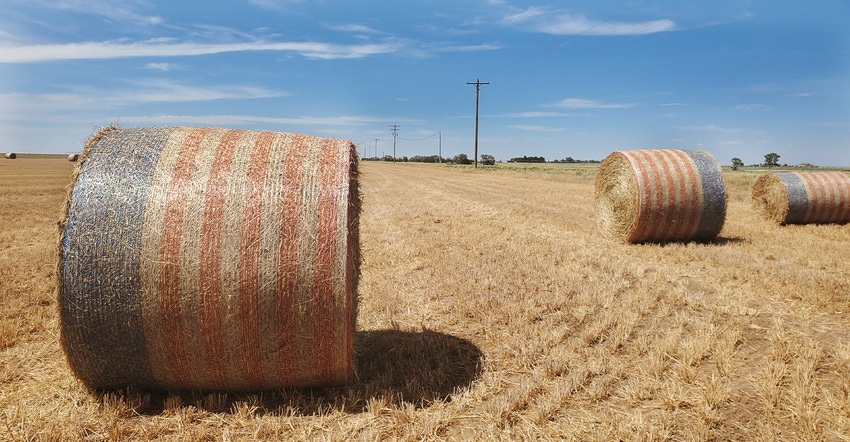 swfp-shelley-huguley-hay-flagnetting.jpg swfp-shelley-huguley-hay-flagnetting.jpg