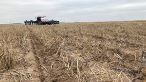 Planter planting sorghum in field of stubble residue