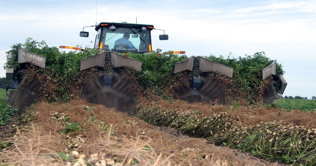 17 years of top peanut farmers’ data shows us something