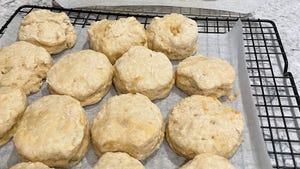 Freshly-baked beaten biscuits cool on the kitchen counter