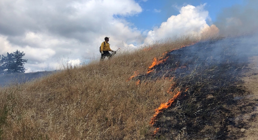 WFP-UC-prescribed-fire-boss.jpg WFP-UC-prescribed-fire-boss.jpg