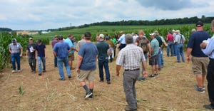 Farmers gather for an No-Till Alliance on-farm field day