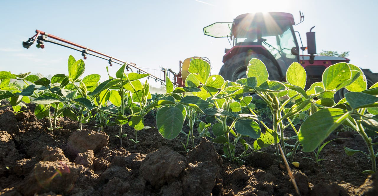 kính bảo hộ chống hóa chất