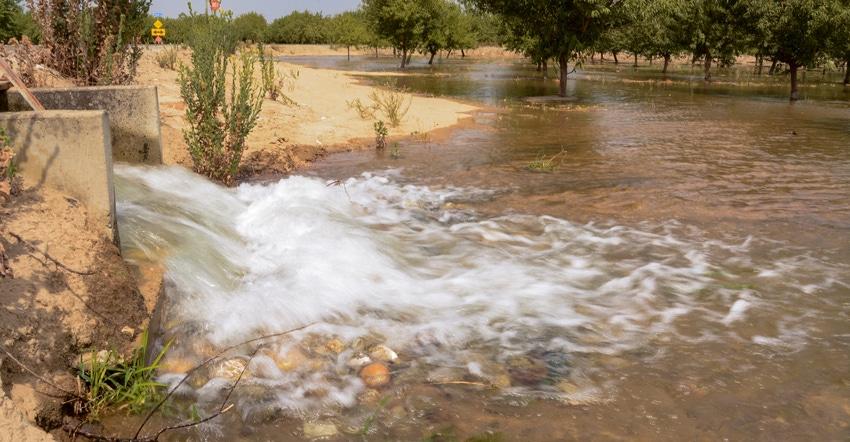 WFP_Todd_Fitchette_Almonds-2605.jpg WFP_Todd_Fitchette_Almonds-2605.jpg