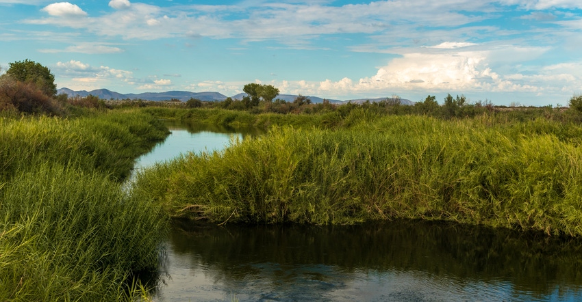 wfp_todd_fitchette_colorado_river-1.jpg wfp_todd_fitchette_colorado_river-1.jpg