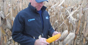 Farmer looking at ear of corn