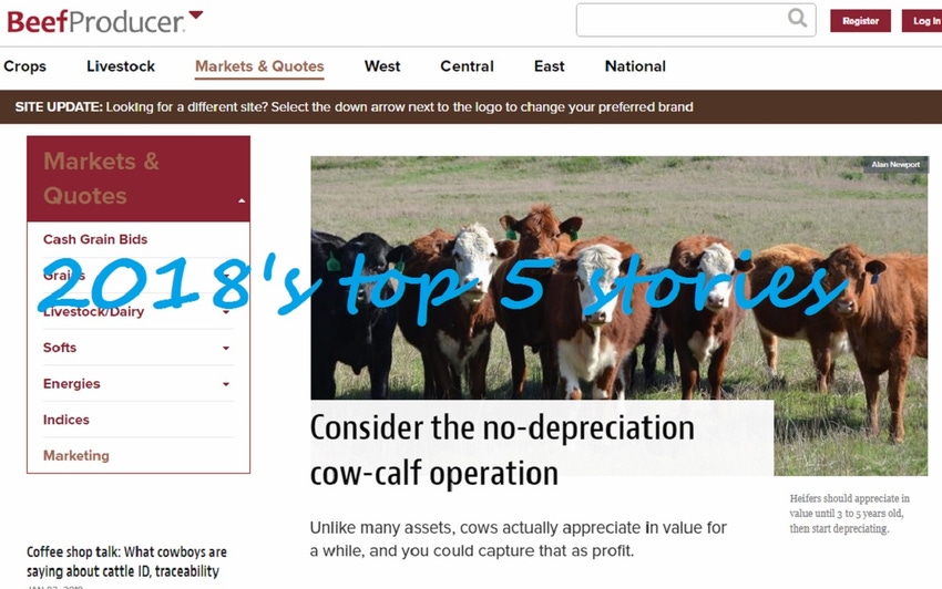 Beef Producer web page