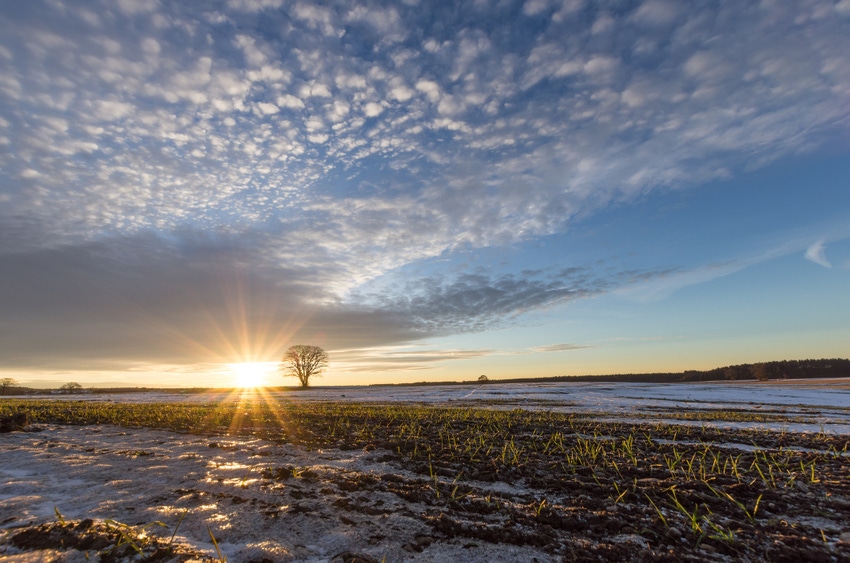 Field Winter Sunset Field Winter Sunset