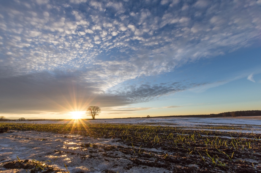 Field Winter Sunset